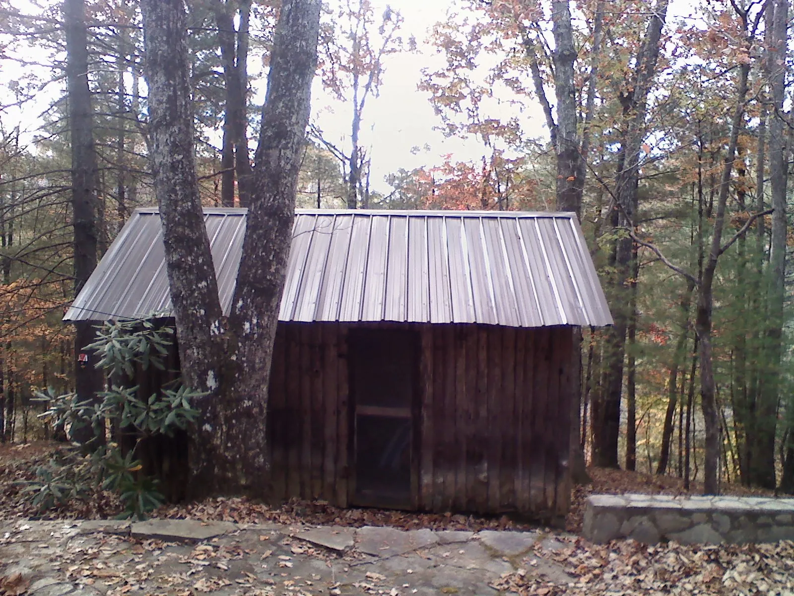 New metal gable roof on a small log shed among the trees in Las Cruces